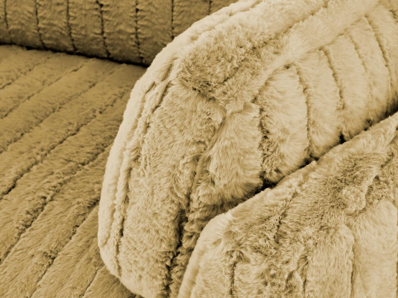 Fotelis reglaineris PEGAS leisure kėdė V-CH-PEGAS-FOT-MUSZTARDOWY, Spalva: Geltona