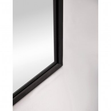 CURIO mirror with black frame 3