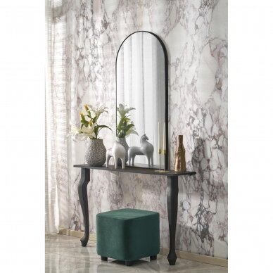 CURIO mirror with black frame 5