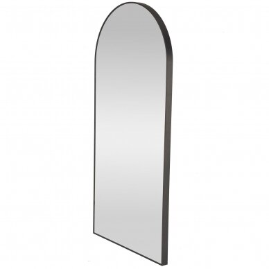 CURIO mirror with black frame 2